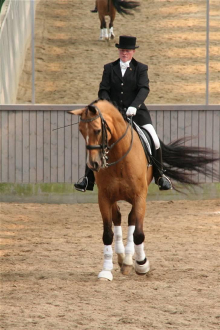 Opvisning på Sindal Rideklub 9/8-08 billede 30