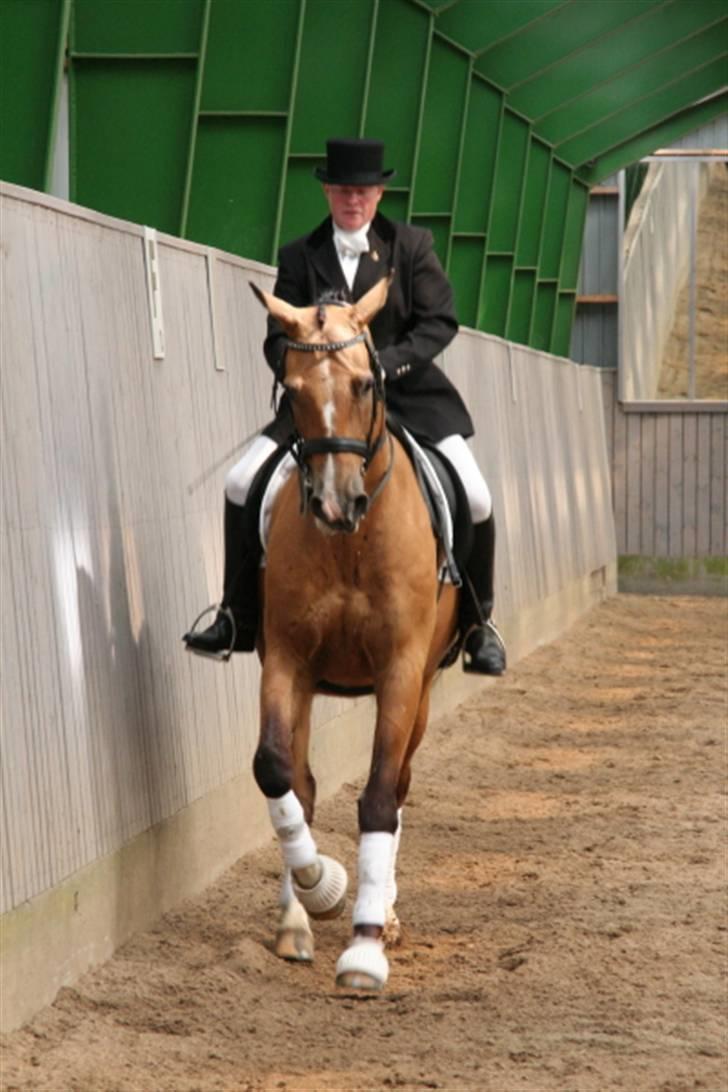 Opvisning på Sindal Rideklub 9/8-08 billede 31