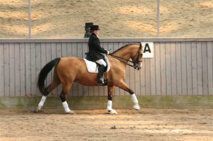 Opvisning på Sindal Rideklub 9/8-08 billede 32