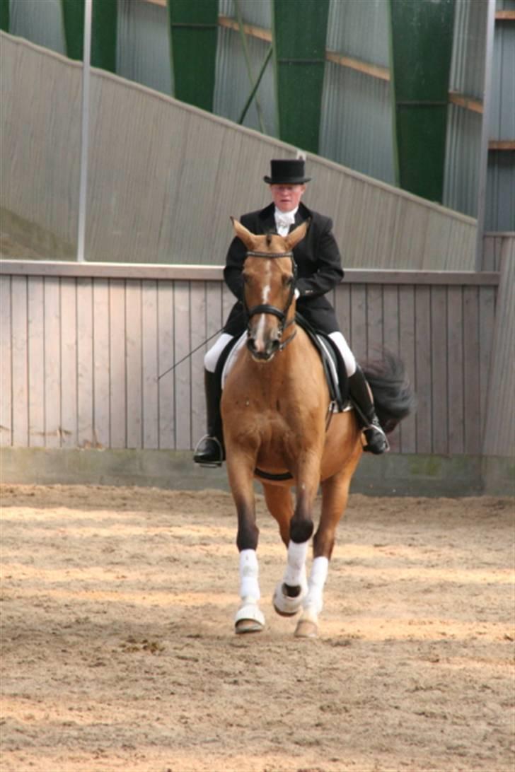 Opvisning på Sindal Rideklub 9/8-08 billede 33