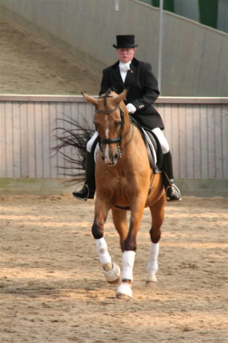 Opvisning på Sindal Rideklub 9/8-08 billede 35