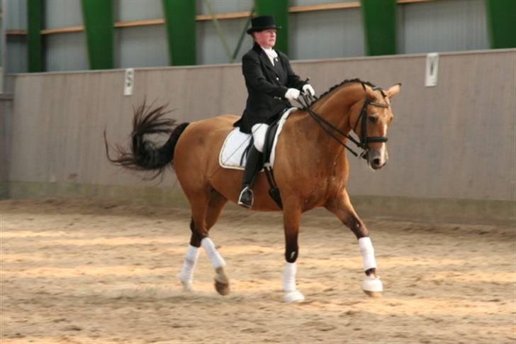 Opvisning på Sindal Rideklub 9/8-08 billede 37