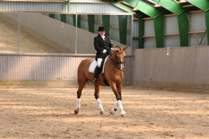 Opvisning på Sindal Rideklub 9/8-08 billede 39