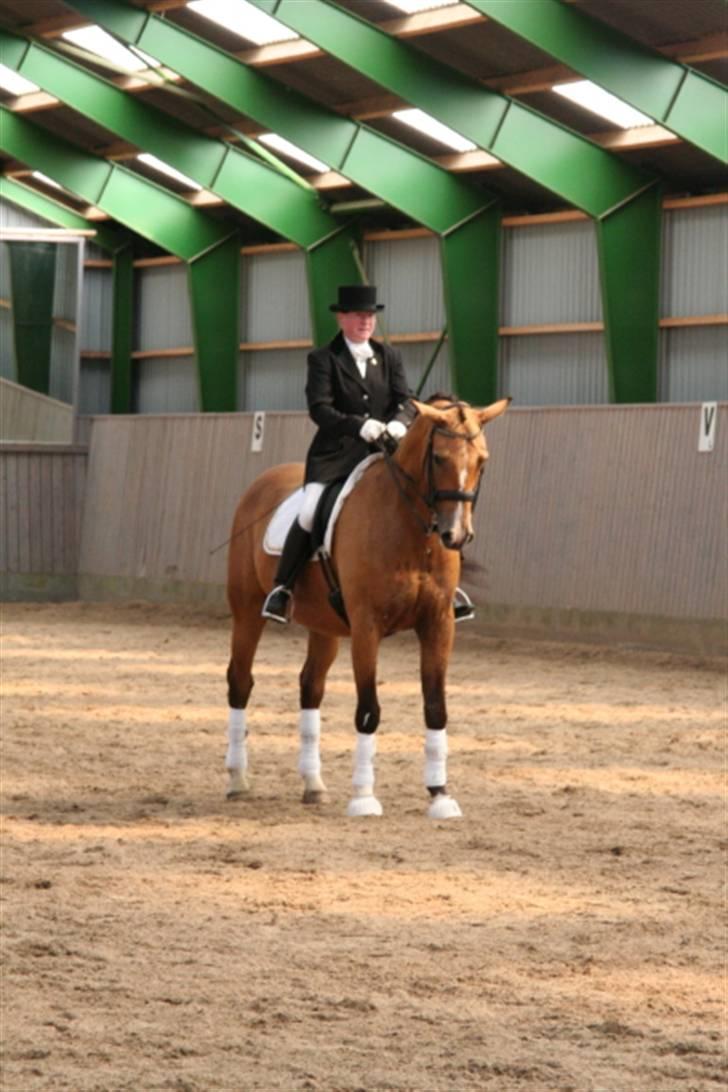 Opvisning på Sindal Rideklub 9/8-08 billede 40