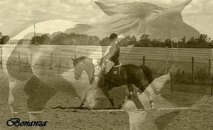 Mine redigerede og flotte billeder. billede 3