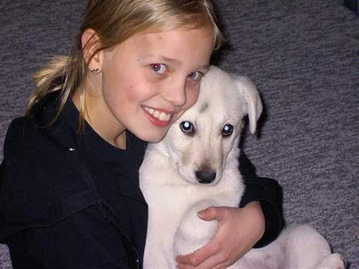 Min søde hund, Blondie. - Blondie og mig ja, det er os to fra 3 år siden:p billede 29