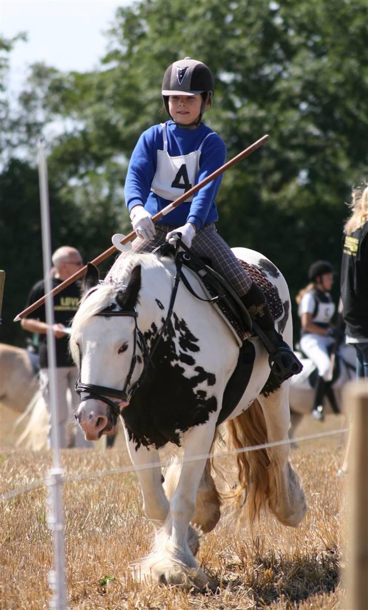 Ringridning i Løve billede 1