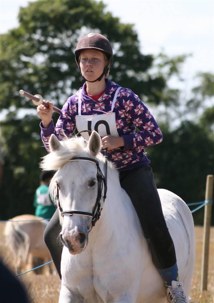 Ringridning i Løve billede 3