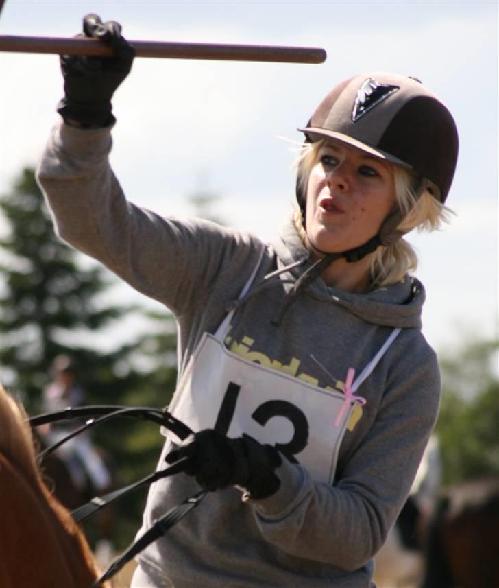 Ringridning i Løve billede 4