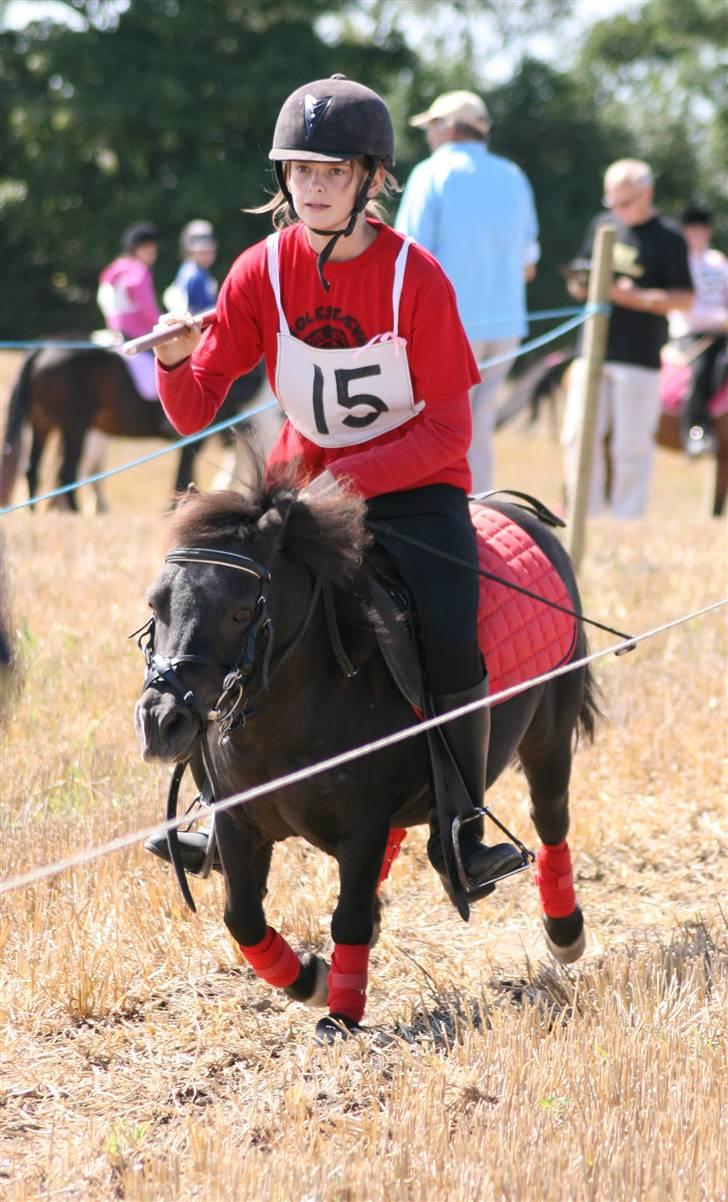 Ringridning i Løve billede 7