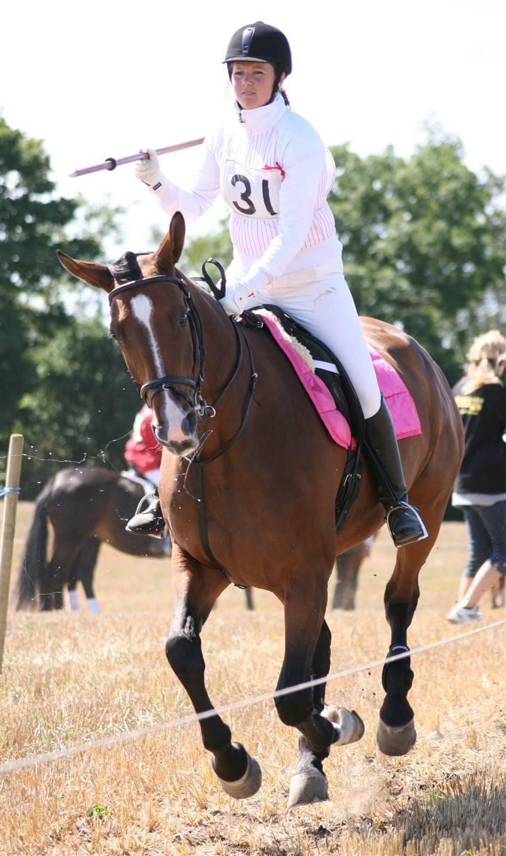 Ringridning i Løve billede 11