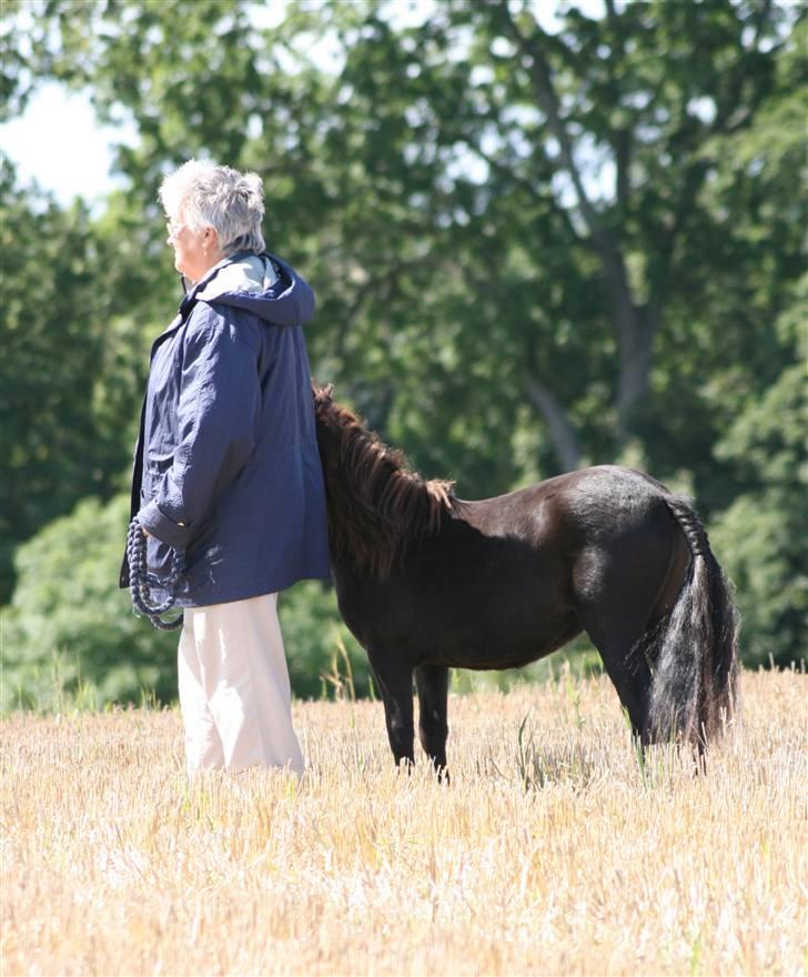 Ringridning i Løve billede 13