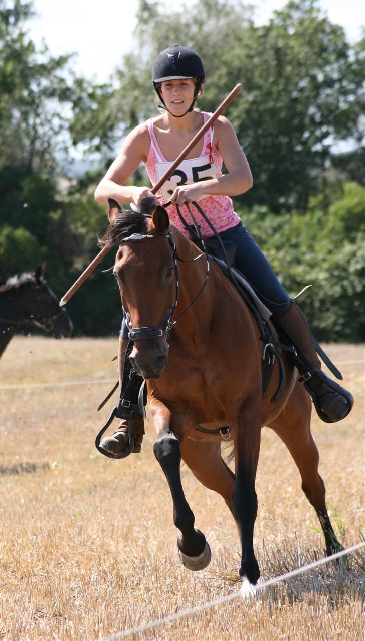 Ringridning i Løve billede 16