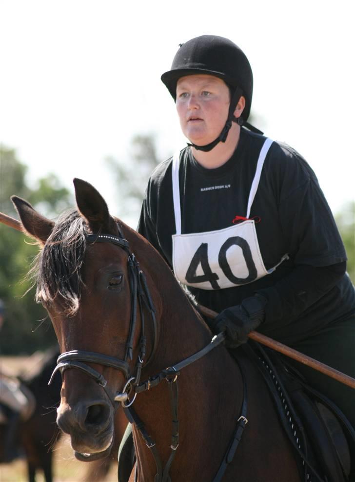 Ringridning i Løve billede 19