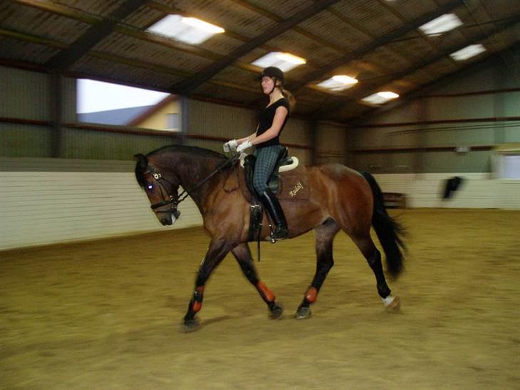 {{currentPhoto.altText}} billede {{currentPhoto.number}}