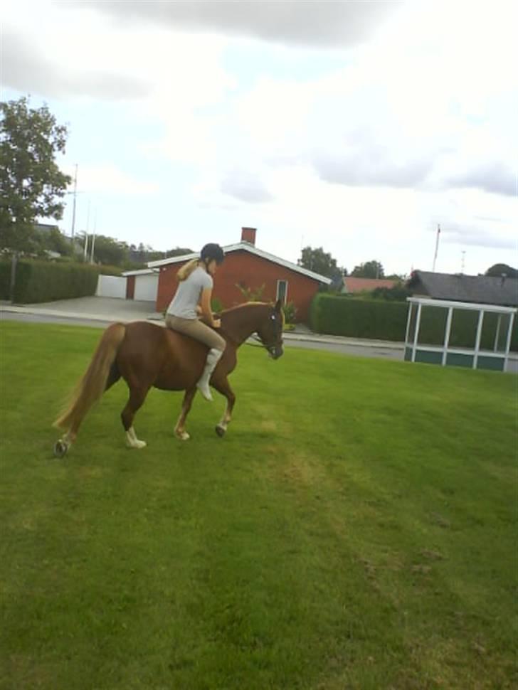 Gøg og gokke på tur XD billede 5