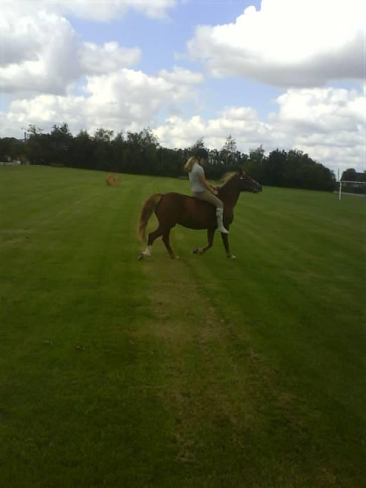 Gøg og gokke på tur XD billede 6