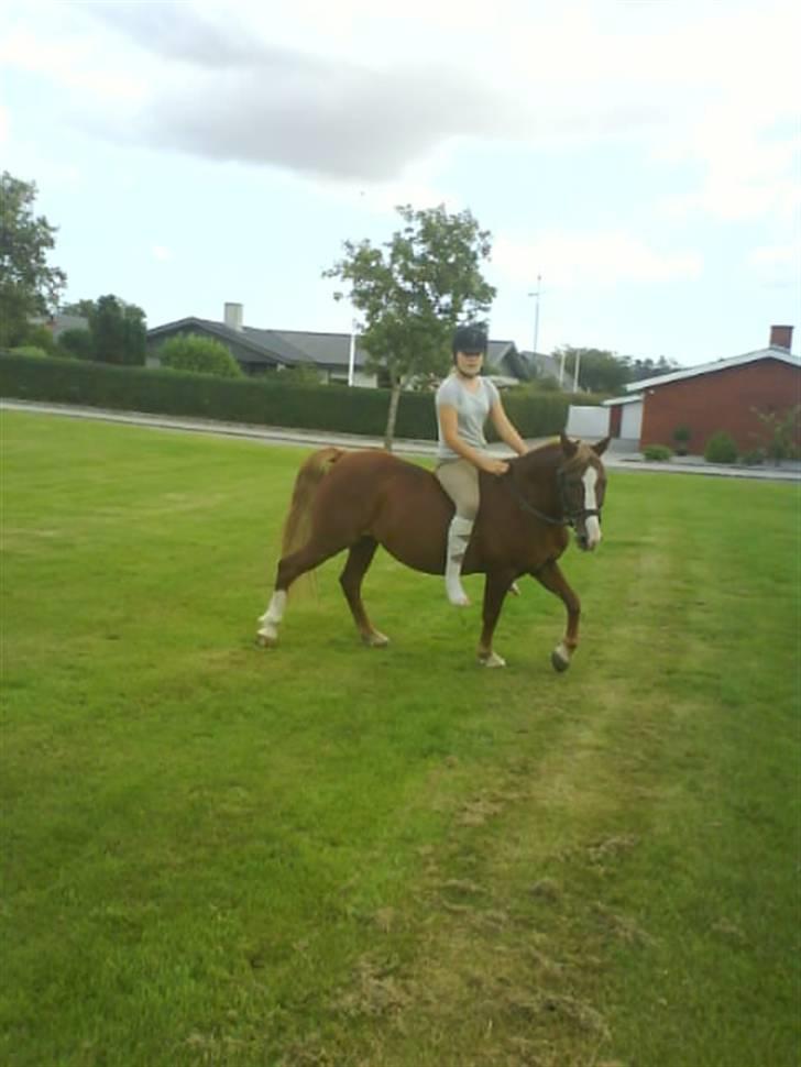 Gøg og gokke på tur XD billede 7