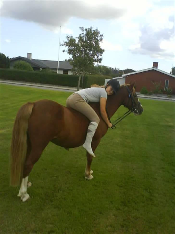 Gøg og gokke på tur XD billede 8