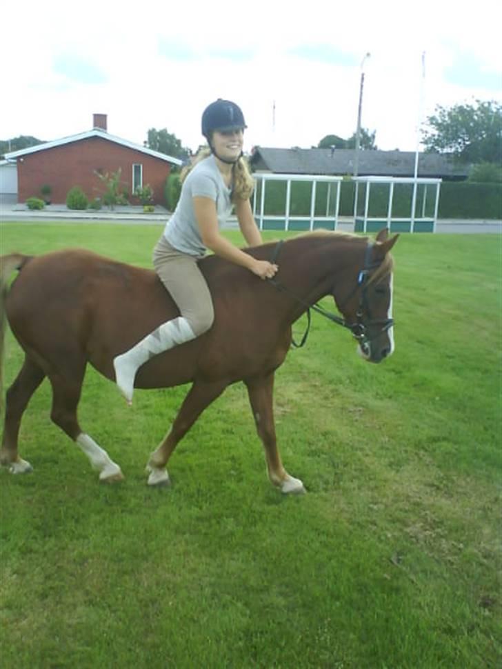 Gøg og gokke på tur XD billede 9