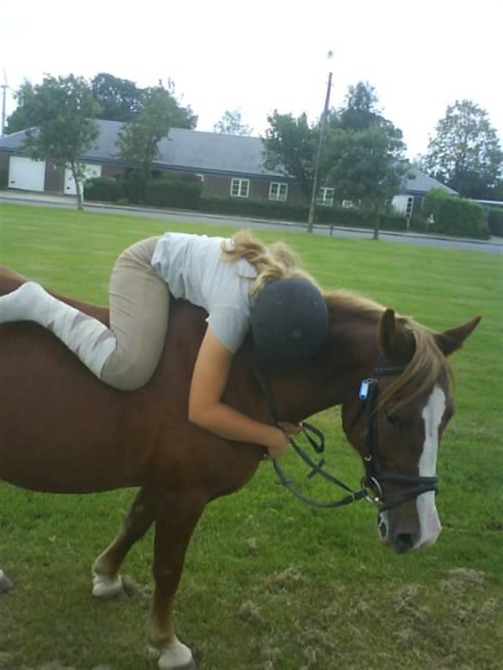 Gøg og gokke på tur XD billede 10