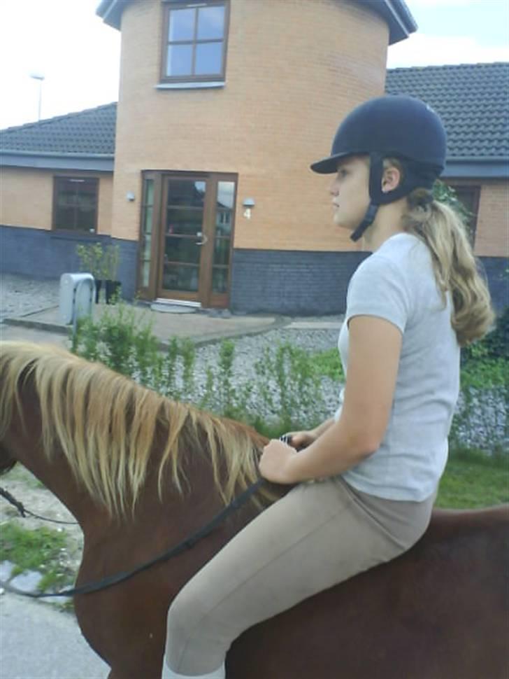 Gøg og gokke på tur XD billede 13