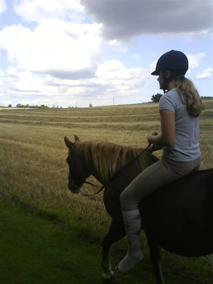 Gøg og gokke på tur XD billede 14