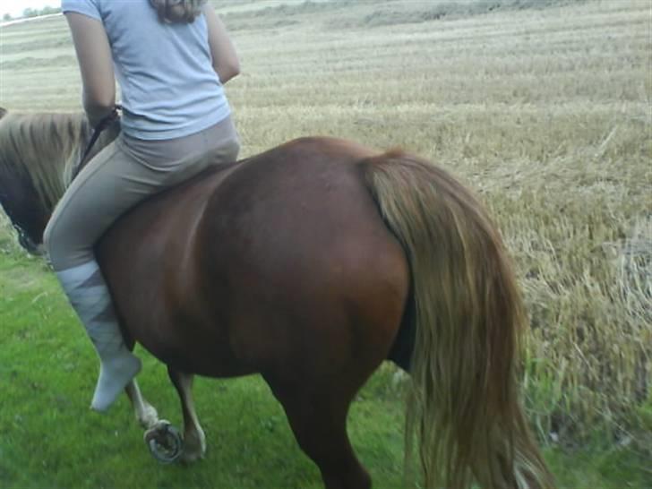 Gøg og gokke på tur XD - Hesterøv?? billede 18