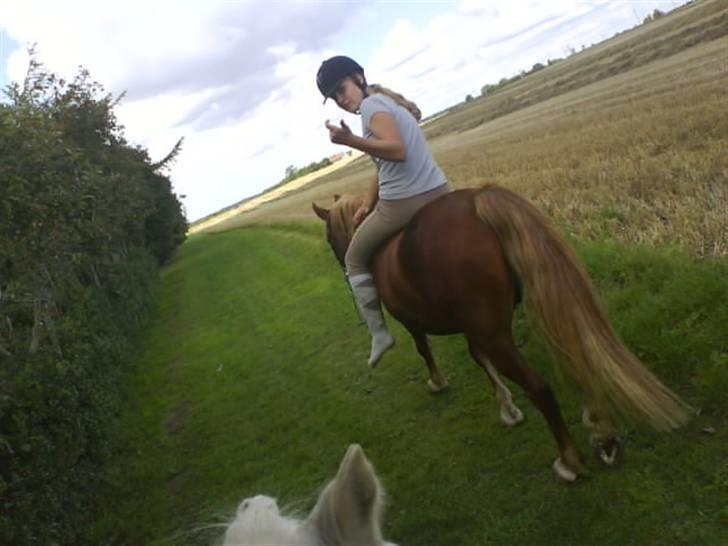 Gøg og gokke på tur XD billede 19