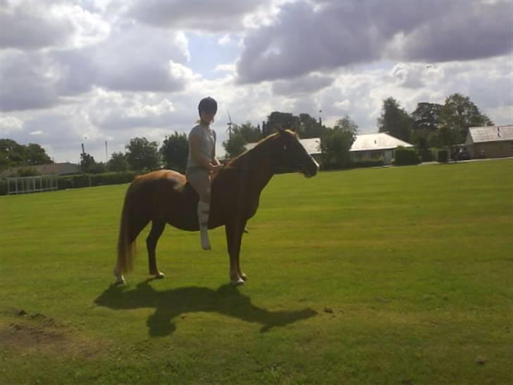 Gøg og gokke på tur XD billede 20