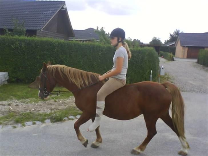 Gøg og gokke på tur XD billede 21