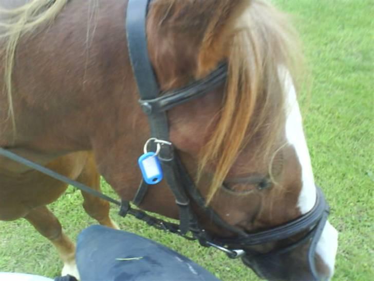 Gøg og gokke på tur XD billede 22