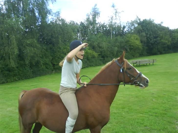 Gøg og gokke på tur XD billede 25