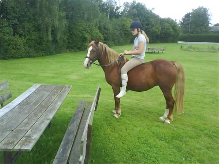 Gøg og gokke på tur XD billede 26