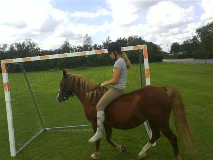 Gøg og gokke på tur XD billede 27