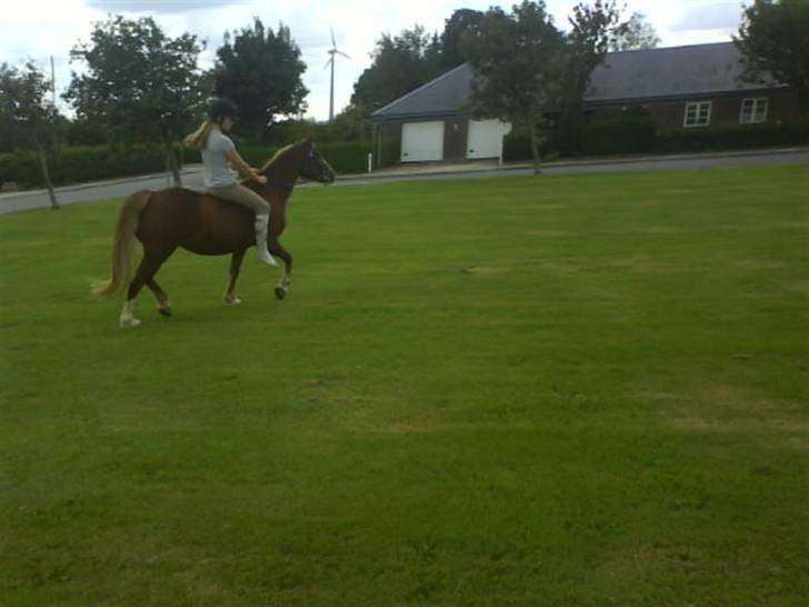 Gøg og gokke på tur XD billede 29