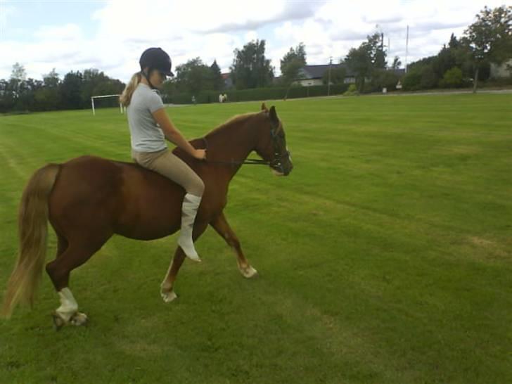 Gøg og gokke på tur XD billede 31