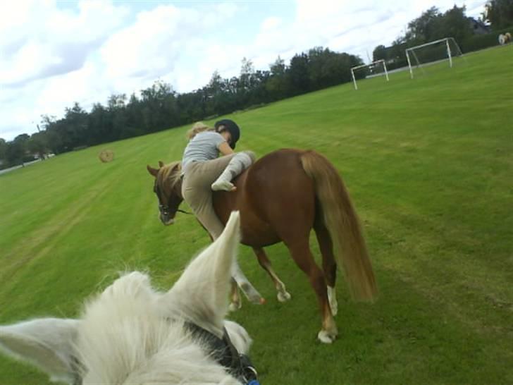 Gøg og gokke på tur XD - Lidt tung i røven! billede 32