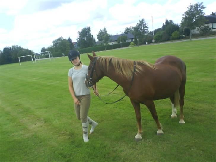 Gøg og gokke på tur XD billede 33