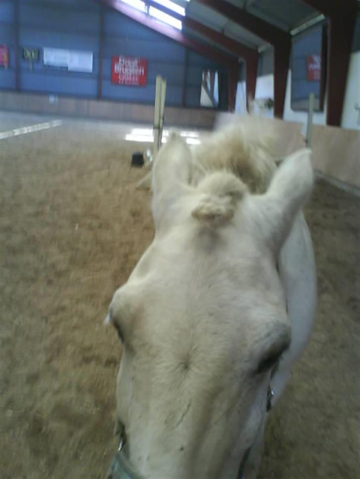 Gøg og gokke på tur XD billede 37