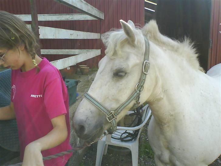 Gøg og gokke på tur XD - Krøl top:') billede 38