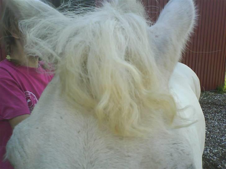 Gøg og gokke på tur XD - Krølle bølle billede 39