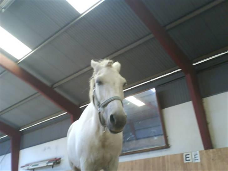 Gøg og gokke på tur XD billede 40