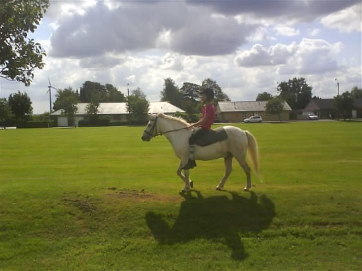 Gøg og gokke på tur XD billede 42