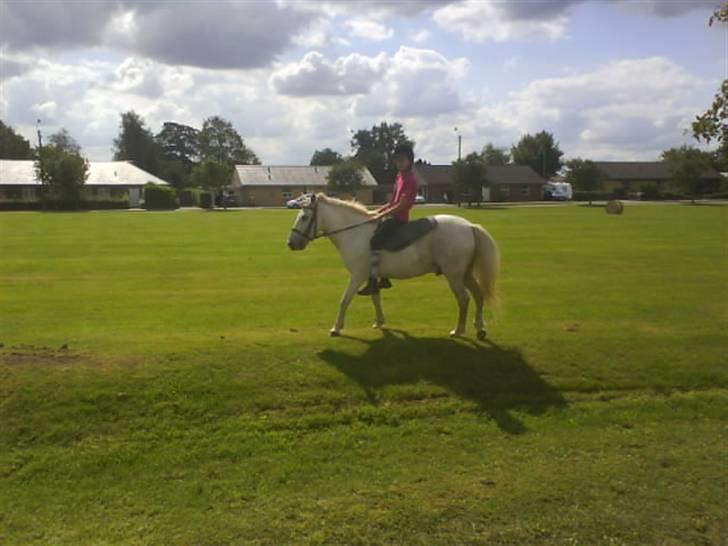 Gøg og gokke på tur XD billede 43