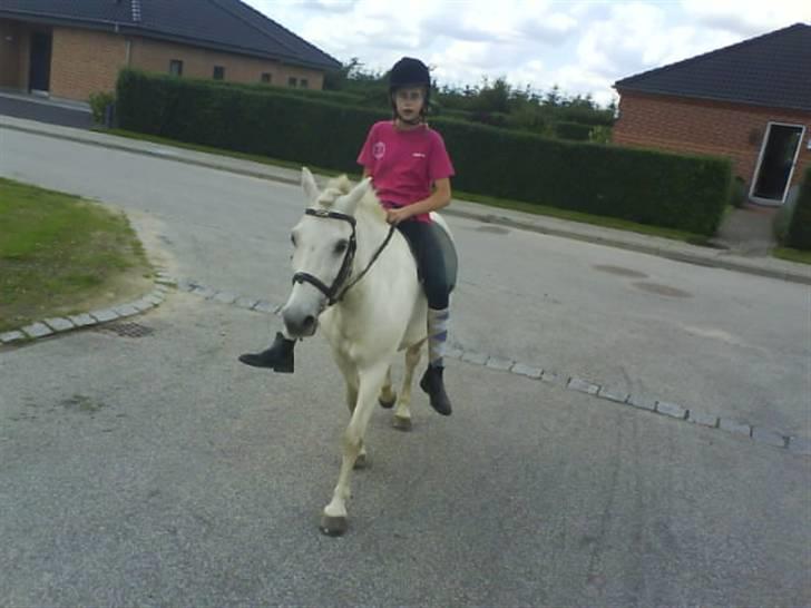 Gøg og gokke på tur XD billede 44