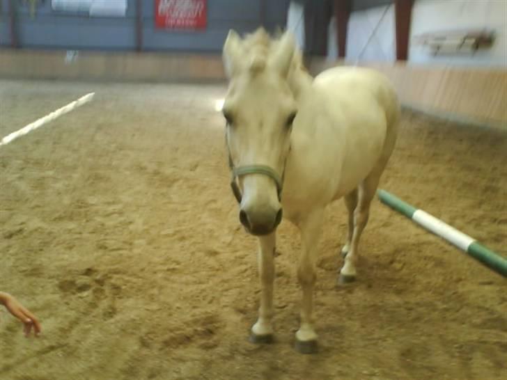 Gøg og gokke på tur XD billede 48