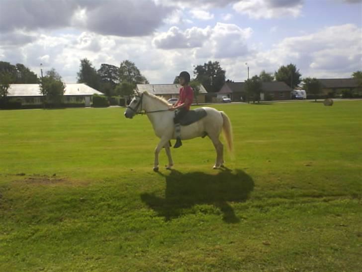 Gøg og gokke på tur XD billede 50