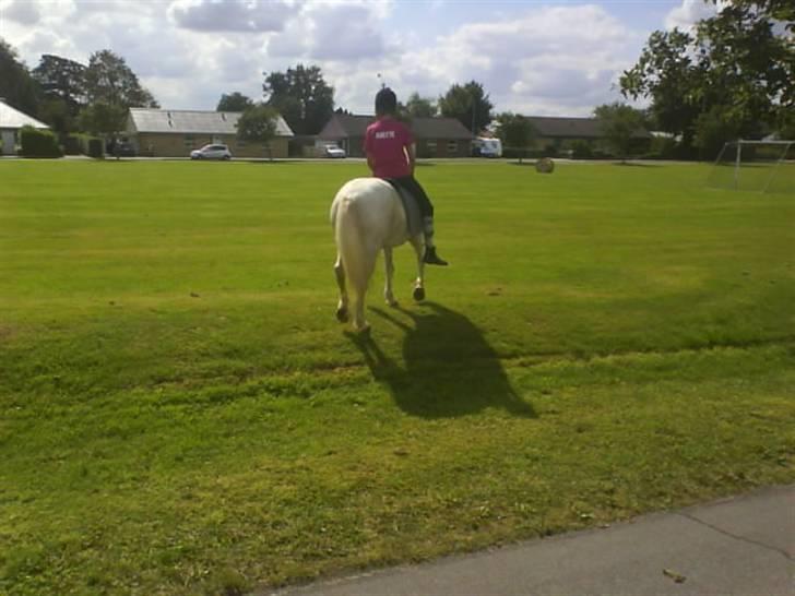 Gøg og gokke på tur XD billede 51