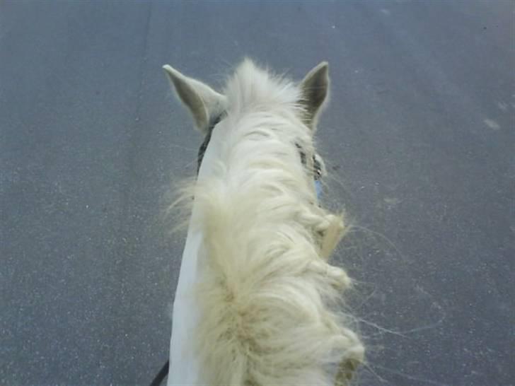 Gøg og gokke på tur XD billede 52